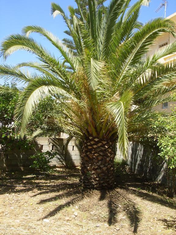 Granny'S House Apartment Palekastro Exterior foto